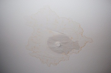 f0097363_1992935.jpg