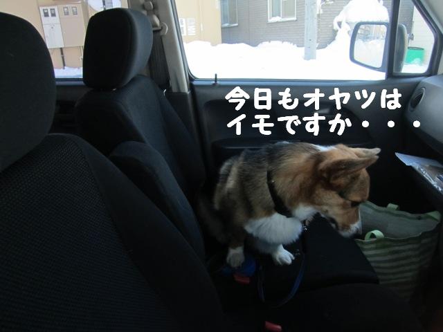 c0160878_20583017.jpg