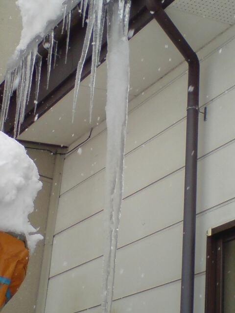 雪が大変なことになってます!_d0182179_16103294.jpg