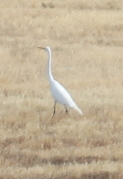 f0232083_53667.jpg