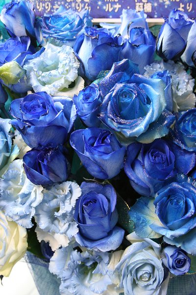青薔薇のアレンジ 花猫庵 青薔薇のアレンジ 花猫庵