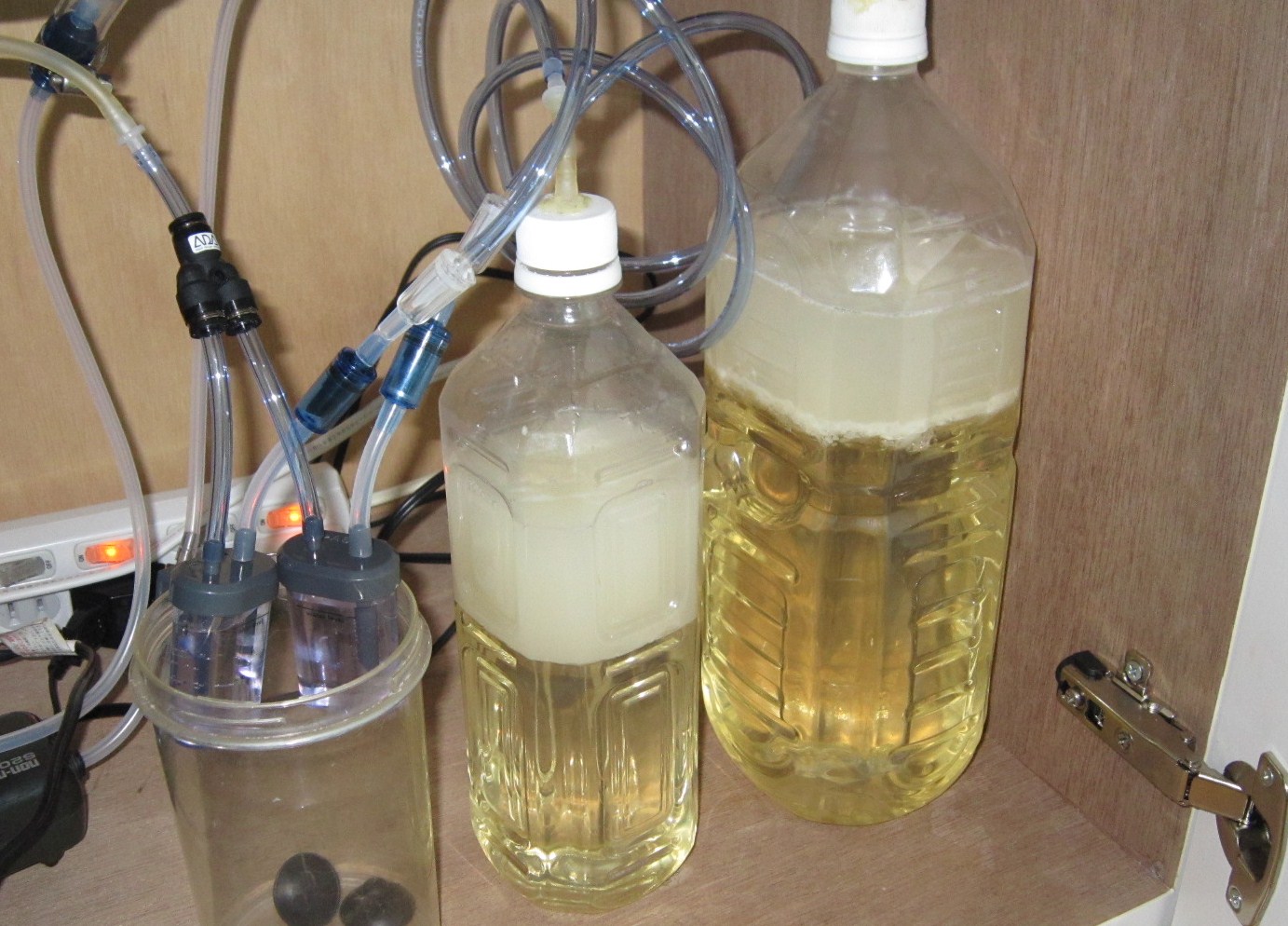 発酵式パラレル添加 ガラス箱のアクア
