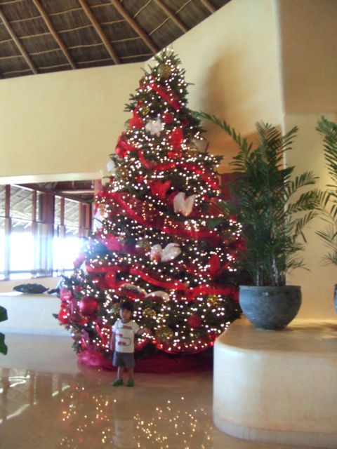 b0199694_16463815.jpg