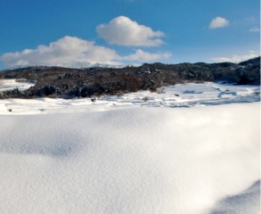 晴れた日には坂道を登って高台まで散歩します_c0151898_19483436.jpg