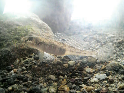 f0082402_18265999.jpg