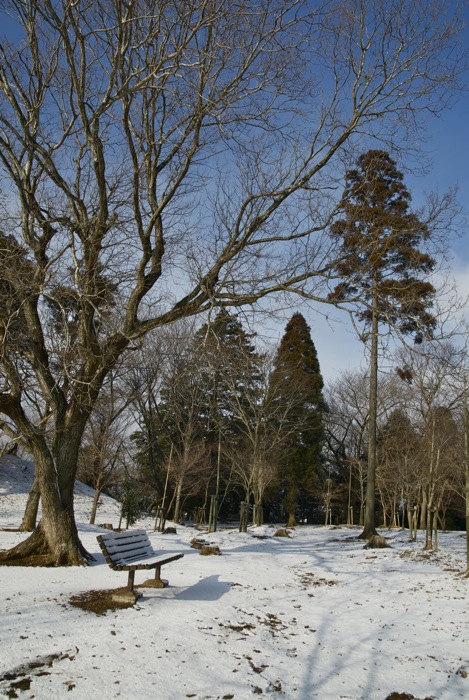 c0127403_12303136.jpg