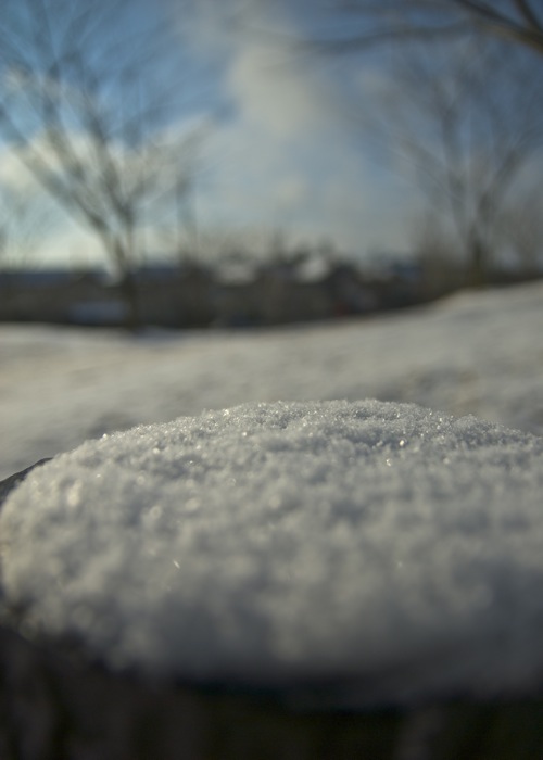 c0127403_12304338.jpg