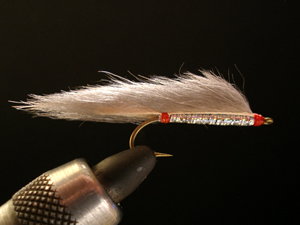 a0176707_164947.jpg