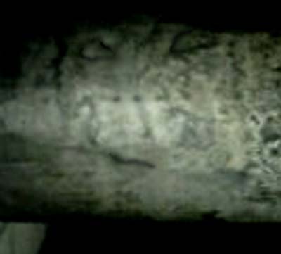 e0103408_13233318.jpg