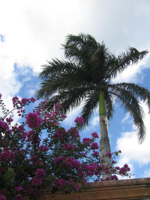 f0036409_524483.jpg