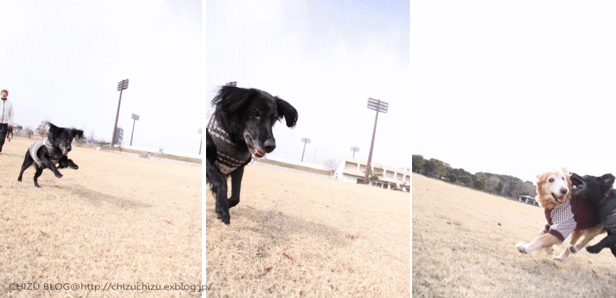 c0017311_144254100.gif