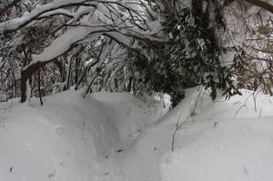 難所ヶ滝・三郡山・頭巾山 （福岡県） 724ｍ　936ｍ　901ｍ_f0212511_22394796.jpg