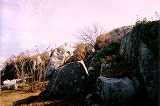 a0154912_21485335.jpg