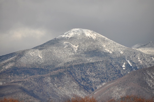 c0065512_22412331.jpg