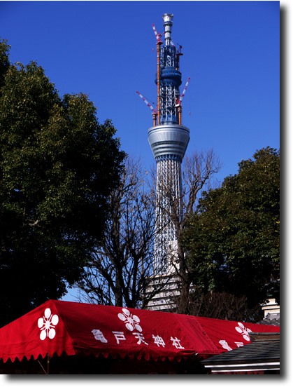 亀戸天神＆スカイツリー_f0113013_10144424.jpg