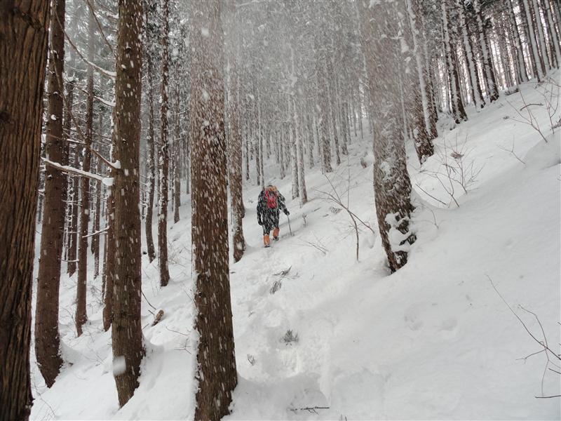 船形山麓の大畑山へ_a0127015_19124967.jpg