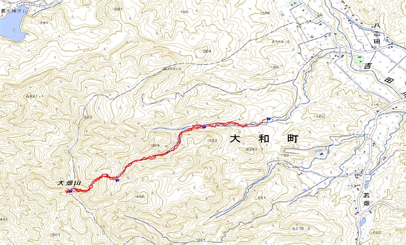 a0127015_1935861.jpg
