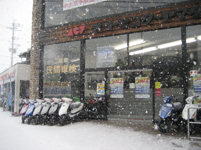 雪降りなう!_a0169121_9543017.jpg