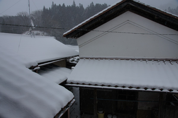 吹雪です・・・・１/16_b0030123_16371652.jpg