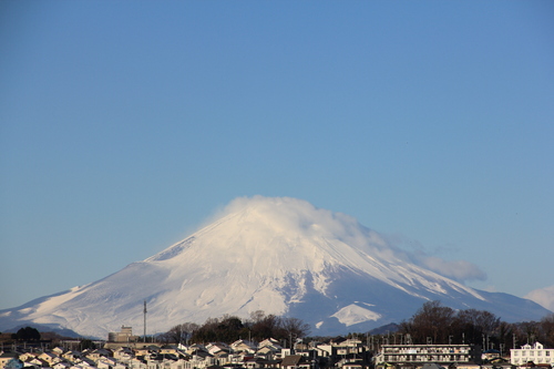 b0209623_1744783.jpg