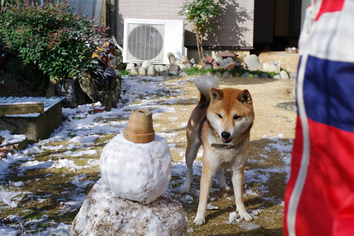 雪の日_c0035324_11174799.jpg