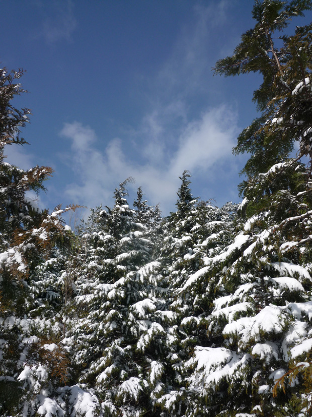 e0200926_9254376.jpg