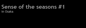 Sense of the seasons #1_c0126428_1822172.gif