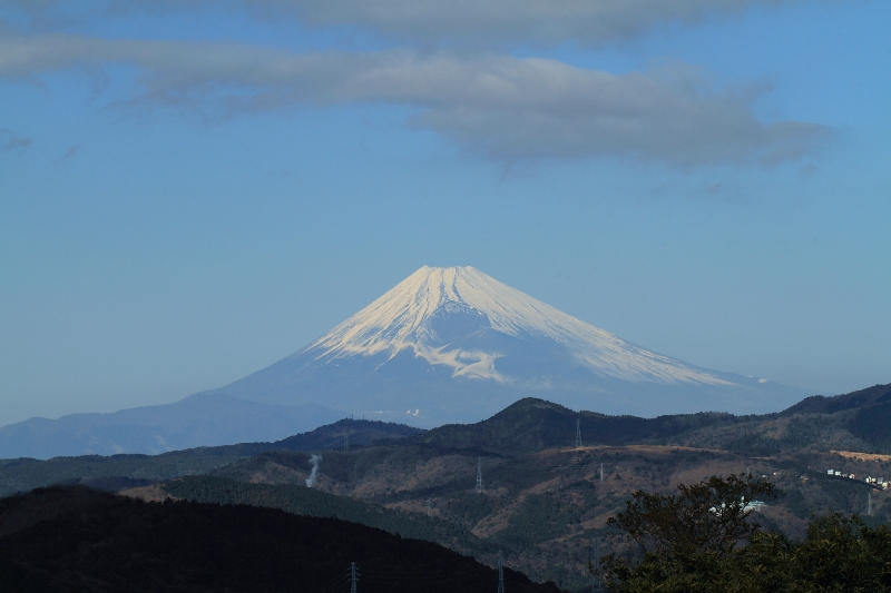 b0169330_0331660.jpg