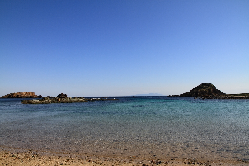 b0169330_0384254.jpg