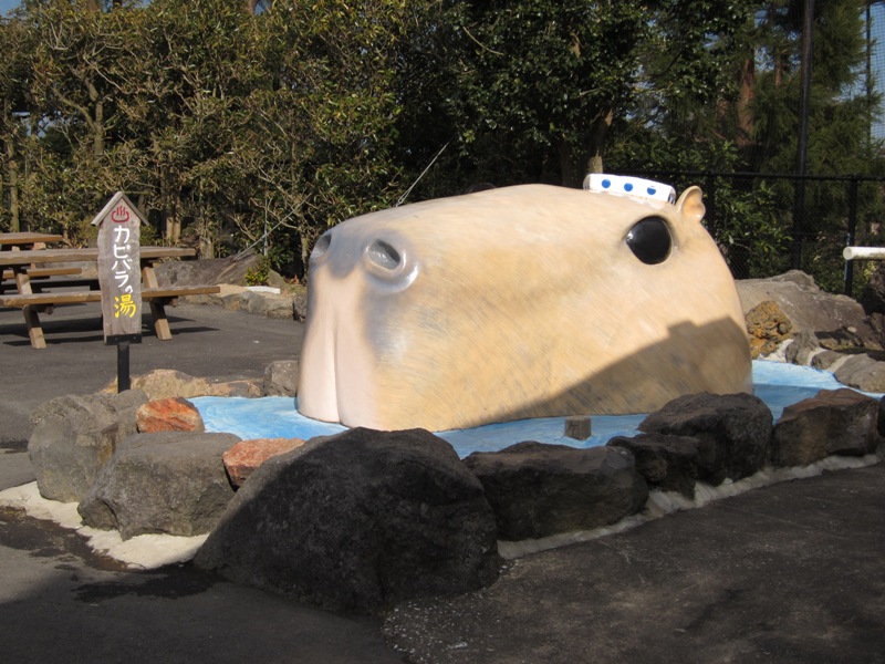 静岡ぶらり旅　＃1（後編） －伊豆シャボテン公園－_b0169330_10181830.jpg