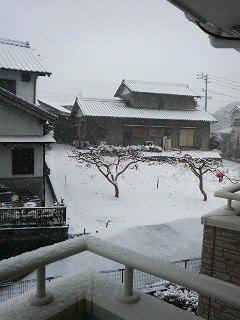  雪です。_b0197735_15493970.jpg