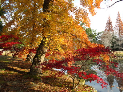 宇佐神宮ー八幡神社の総本山とか..._d0167041_2213578.jpg