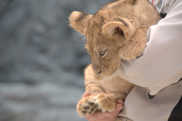 動物園_f0134347_2212297.jpg