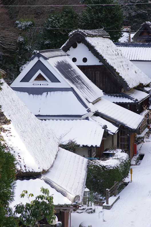 雪の広沢池･嵯峨鳥居本･愛宕念仏寺．．．_f0152550_22585129.jpg