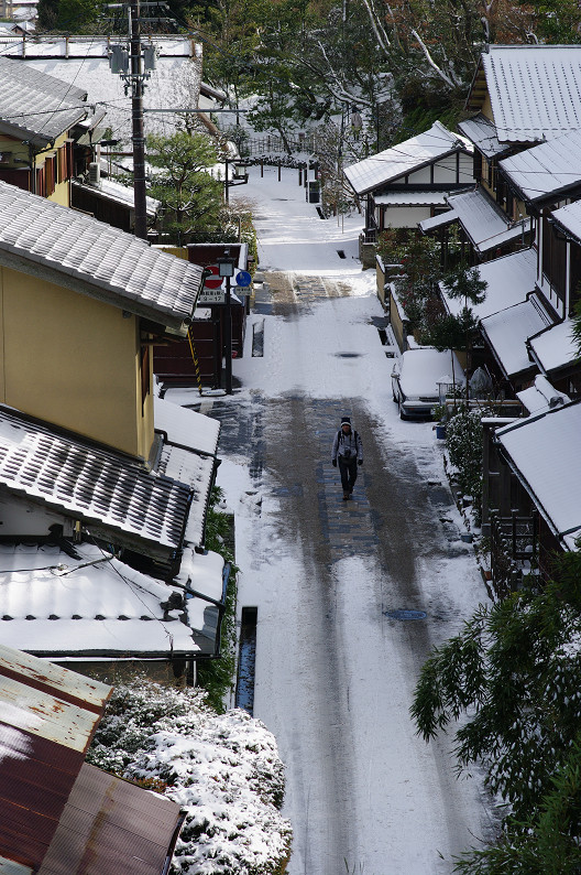 雪の広沢池･嵯峨鳥居本･愛宕念仏寺．．．_f0152550_22592571.jpg