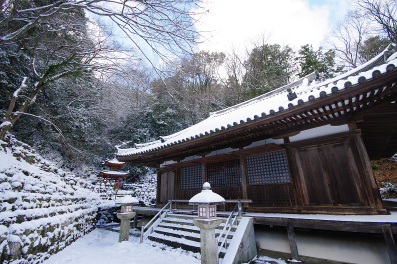 雪の広沢池･嵯峨鳥居本･愛宕念仏寺．．．_f0152550_2323684.jpg