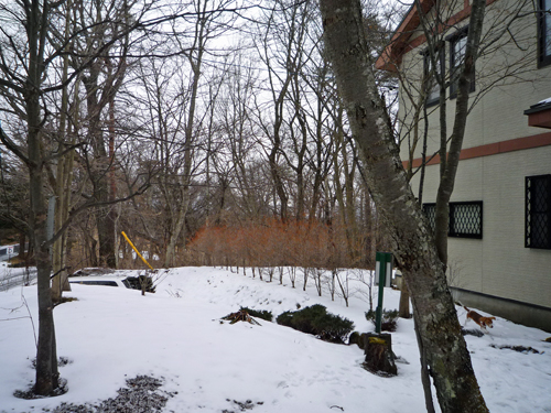 b0045357_12591772.jpg