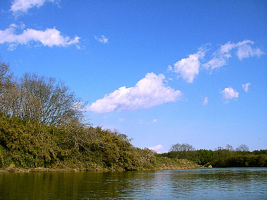 f0084561_1353799.jpg
