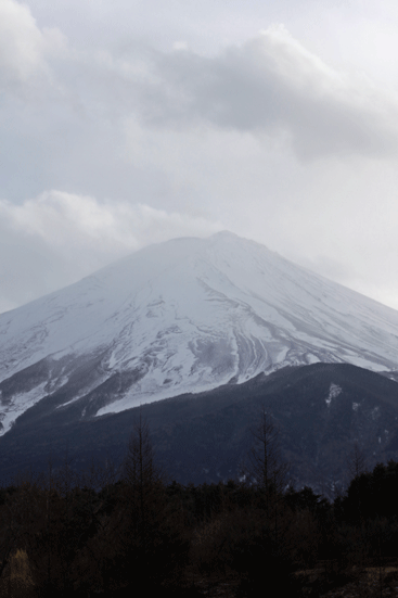 f0107364_22233658.gif