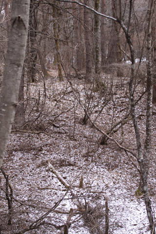 f0107364_22303747.gif