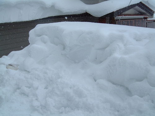 暴風雪が来る前に。_c0033567_29537.jpg