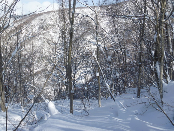 b0164568_14482524.jpg