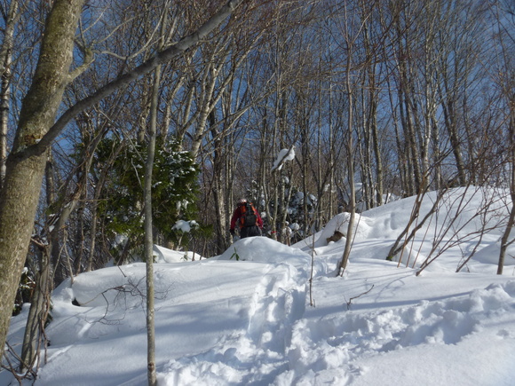 b0164568_14494087.jpg