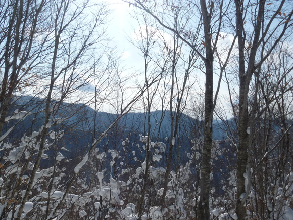 b0164568_14495390.jpg