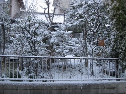 雪_b0162372_20452670.jpg