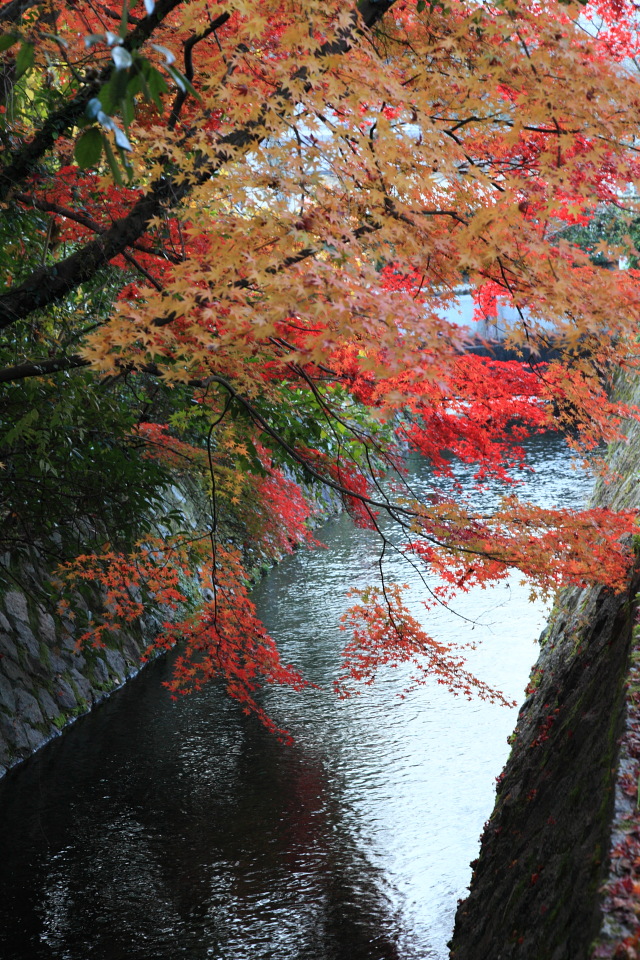 京都（５）_e0096372_743018.jpg