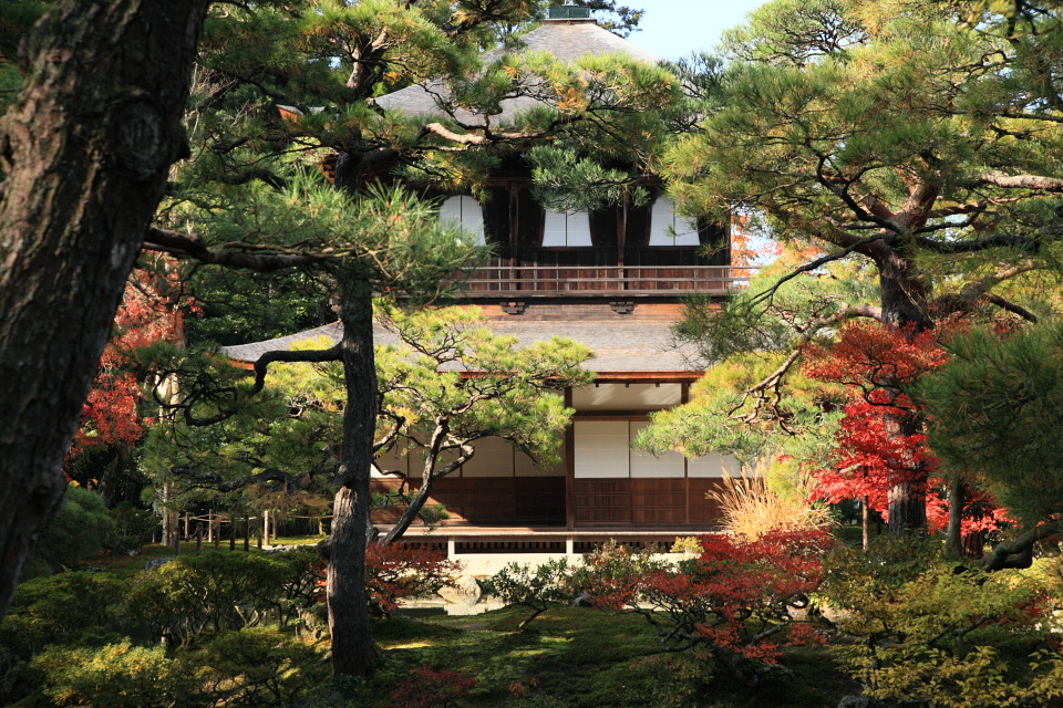 京都（５）_e0096372_761451.jpg