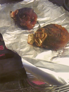 e0118274_11534875.jpg