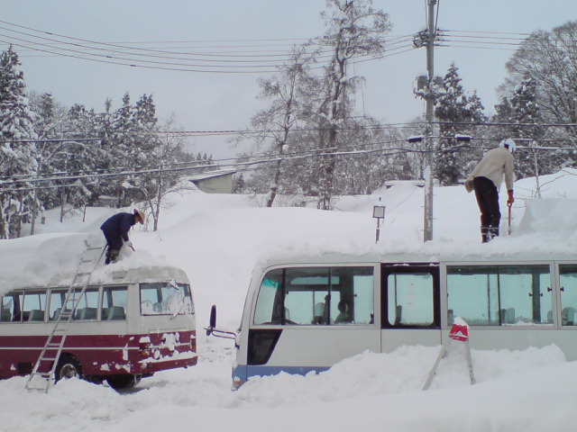 雪が大変なことになってます!_d0182179_1722625.jpg