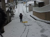c0083484_2385958.jpg